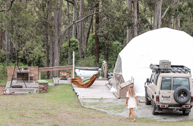 FOREST DOMES