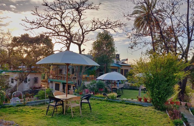 Forest Eco Lodge