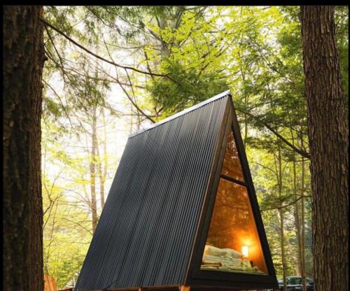 Forest Glam