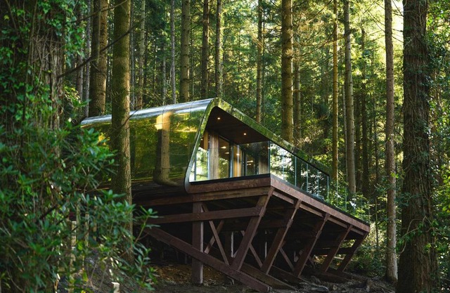 Forest Lodges