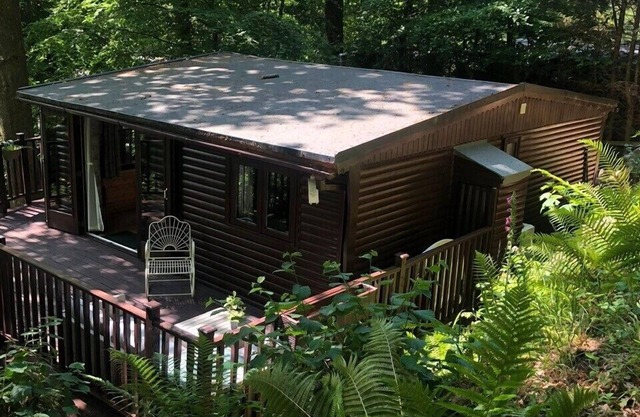 Cabine-Famille-Salle de bain privée séparée-Vue sur Montagne-Forest Retreat