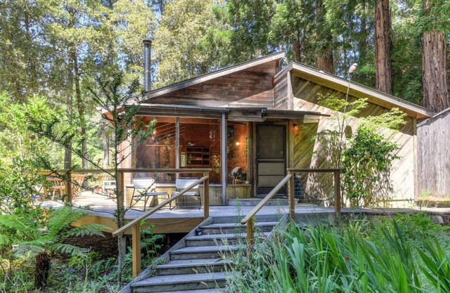 Forest Sea Cabin | Patio w/ Forest Views | Whale Watching