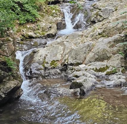 Fortune Rising Sun Hill Pension B