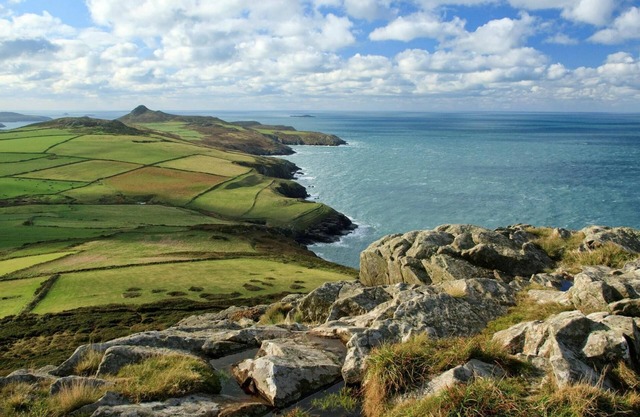 Fossil House, St Davids