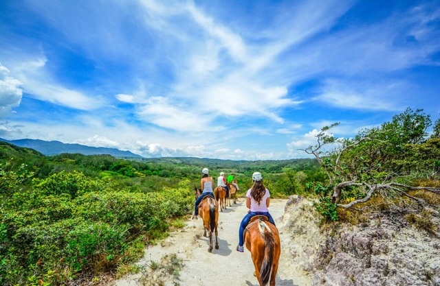 Vida Aventura Nature Park: La combinaison parfaite d'aventure et de détente