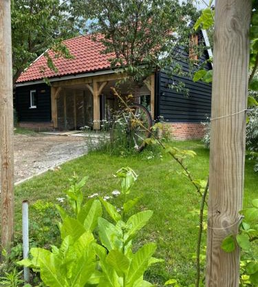 Foxgloves self catering