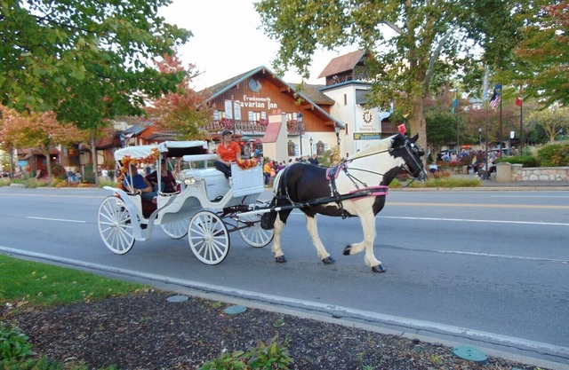 Frankenmuth Getaway, April special. Rent at least 2 nights & get a night free