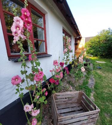 Fridfullt sommarhus mitt på Österlen