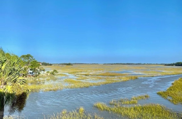 FRIPPNOUT'RAGEOUS Fripp Island Condo with OUTRAGEOUS Marsh Views!