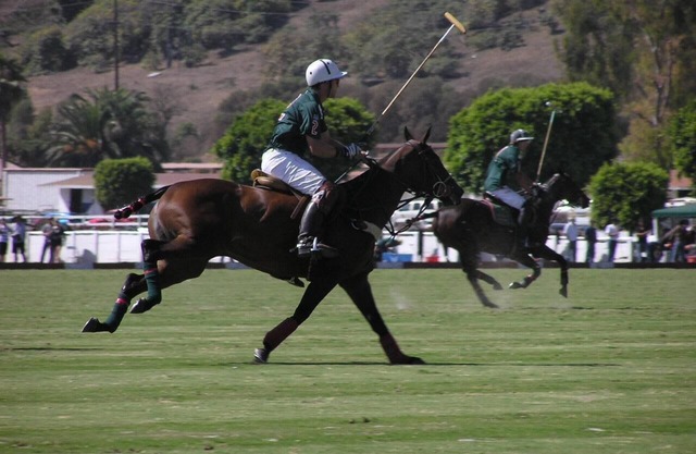 Siège au premier rang sur un terrain de classe mondiale Polo!