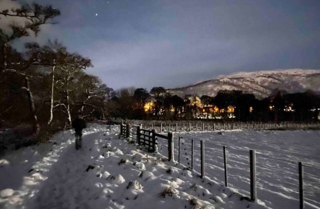 ** Full refurb Nov 24 ** Aviemore Cottage in peaceful woodland location
