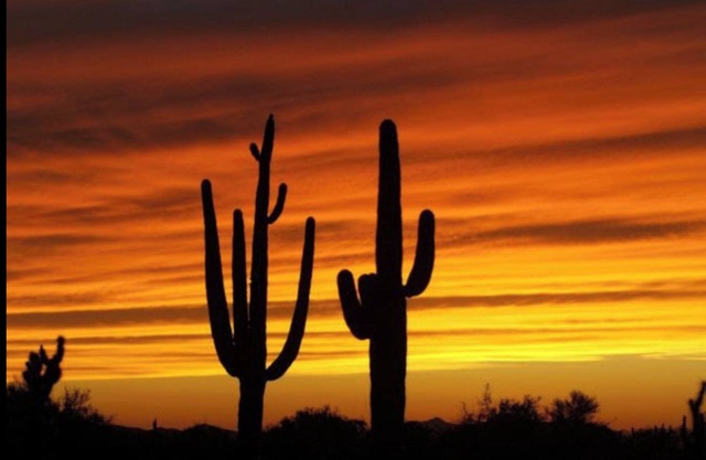 S'AMUSER AU SOLEIL D'ARIZONA!
