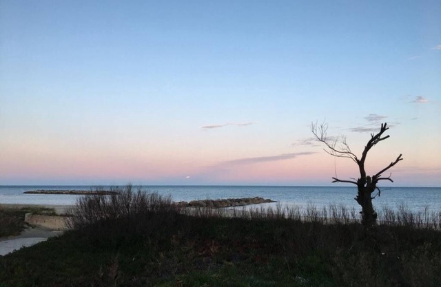 Studio meublé et rénové vue mer, accès privé plage