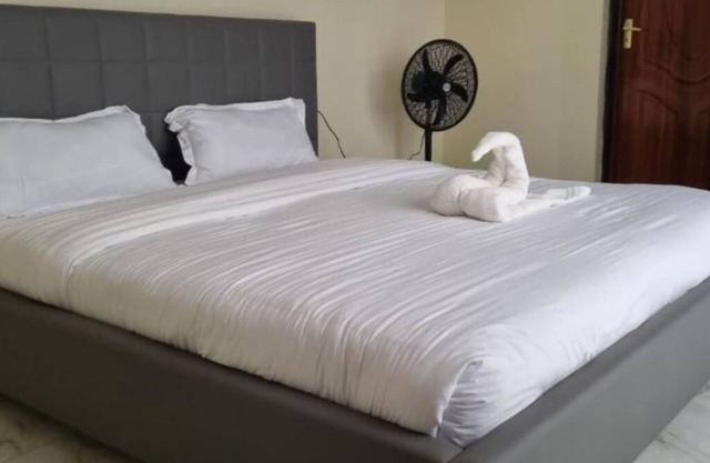 Furnished apartments in Migori : Deluxe Double Room