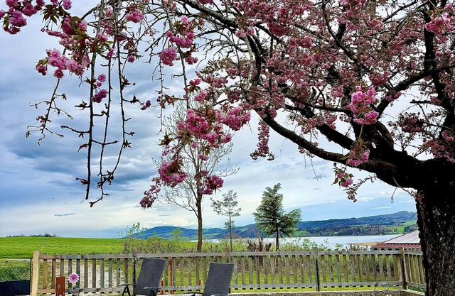 Gästehaus "seeblick" Helle Gartenwohnung