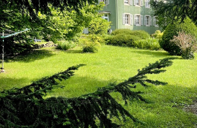 Gîte A l'Ombre des tilleuls