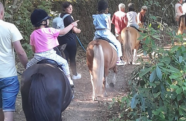 Gîte à la ferme équestre Les poneys du val d'emeraude