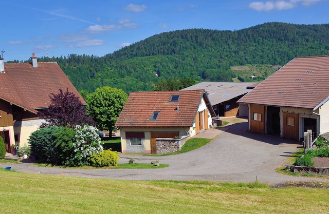 Gîte dans ferme équestre