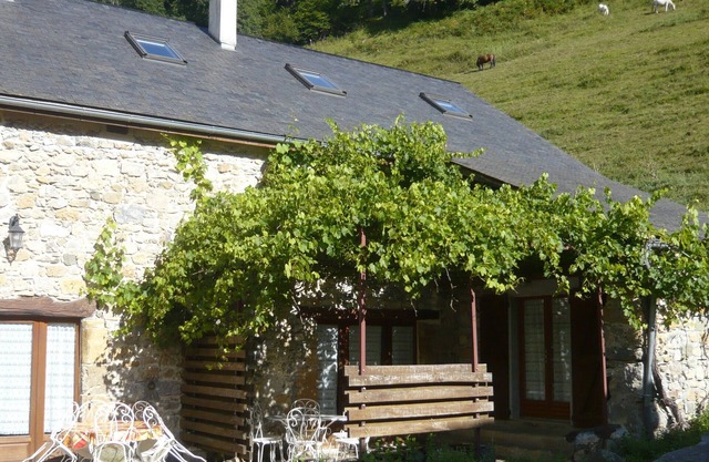 Gîte Jaune - Maison sur propriété de 5 ha, piscine, sauna, animaux,