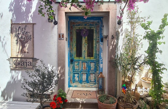 Gaja Ayvalik