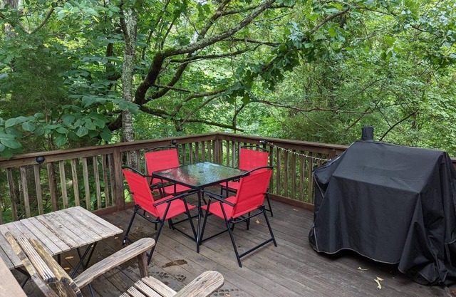 GAME DAY WEEKEND CONDO! WALK TO CAMPUS! PET FRIENDLY! WHIRLPOOL TRAILS!