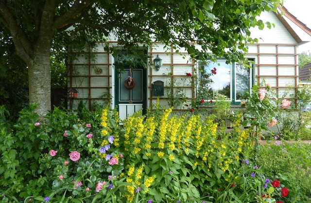 Idylle jardin dans le parc national de la mer des Wadden