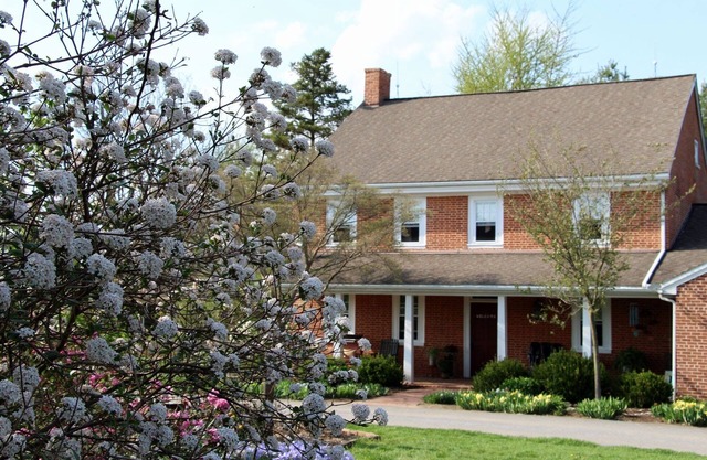 Suite Garden Thyme Farm
