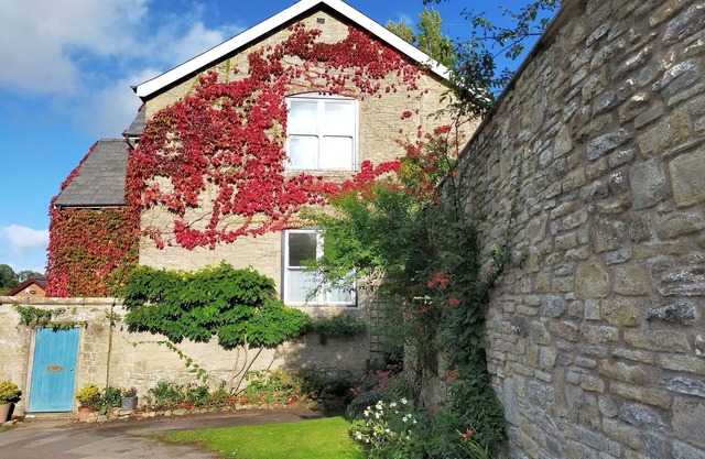 Vue sur le jardin, KINGTON