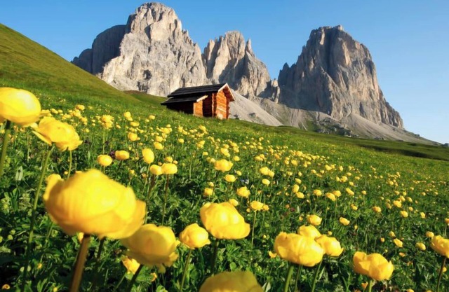Appartement Garni Eden à Soraga di Fassa - 23 personnes, 10 chambres