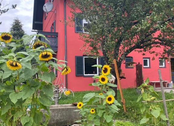 Gartenappartement Schaffler