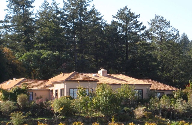 Vineyard Estate, piscine, jacuzzi, jardins, Napa Valley Vues