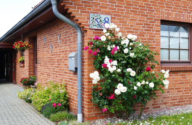 Appartement confortable situé à Rövershagen avec jardin