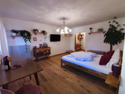 Gemütliches Studio mit Garagenparkplatz