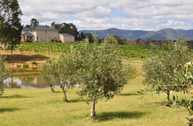 Ghost Riders Vineyard Lodge
