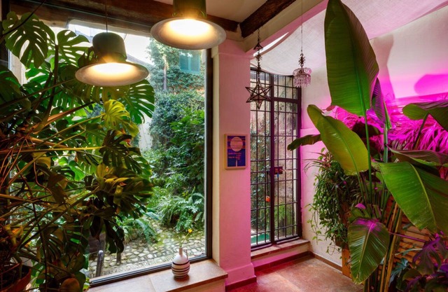 : un luxueux apt centre ville + jardin