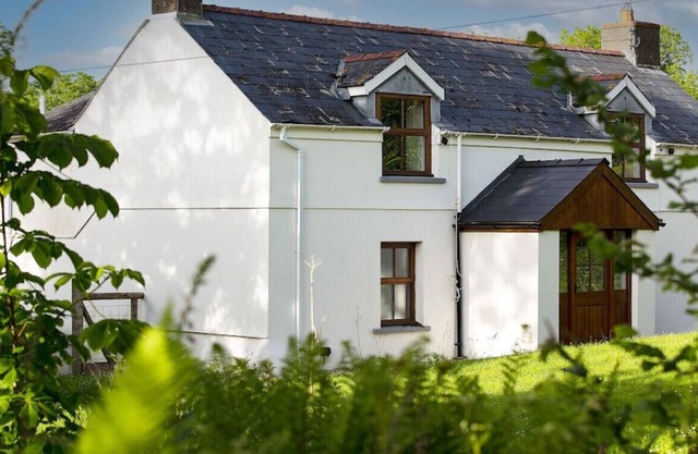 Cosy Cottage in Wild Countryside by Llys-y-Fran
