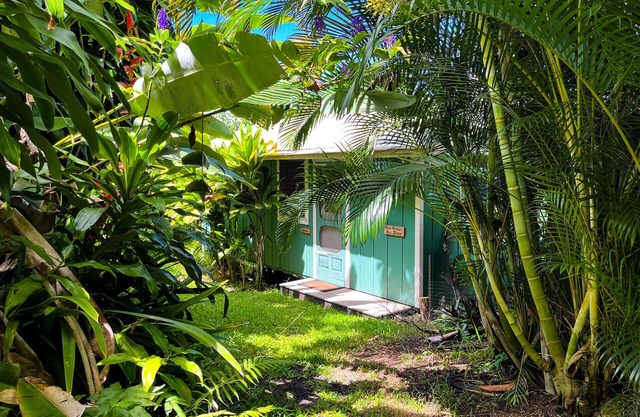 Retraite à la ferme de Gingerhill. Commune avec la nature dans le sud de Kona.
