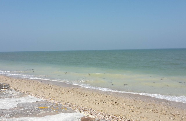 GITE 8 PERSONNES PROCHE PLAGES DU DEBARQUEMENT "LES PETITES SOURCES"