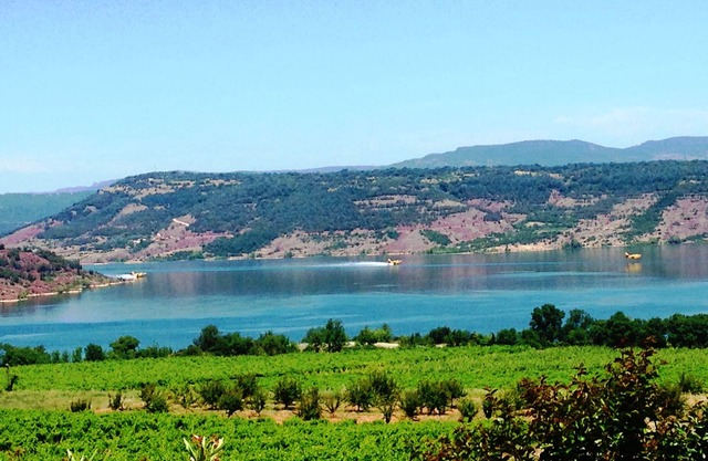 Gîte Ceberou face au lac, jardin et piscine à partager