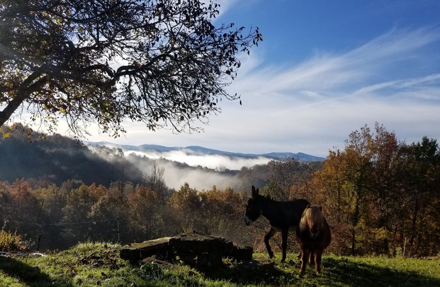 Gite de Marioune au Mas d'Azil avec vue - 8 personnes