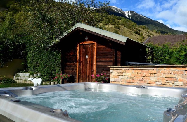 GITE DES OURS - AIME LA PLAGNE
