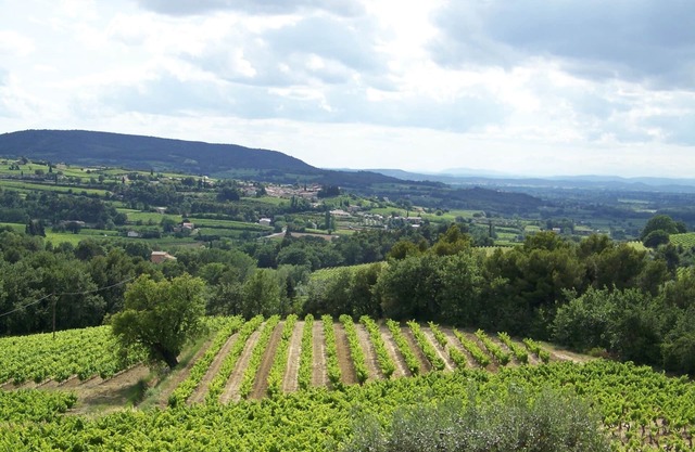 Gîte en Provence au coeur des vignes