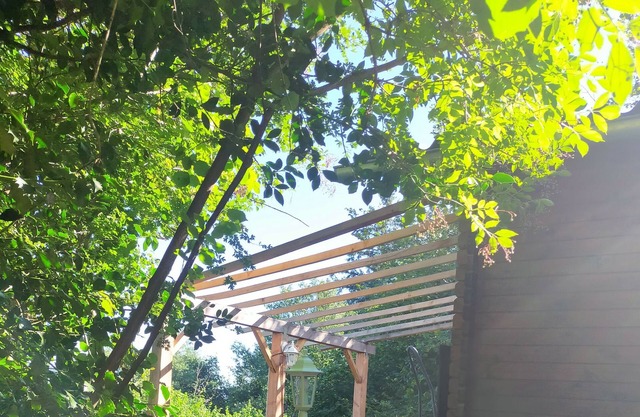 Gîte Chalet Les Noisetiers