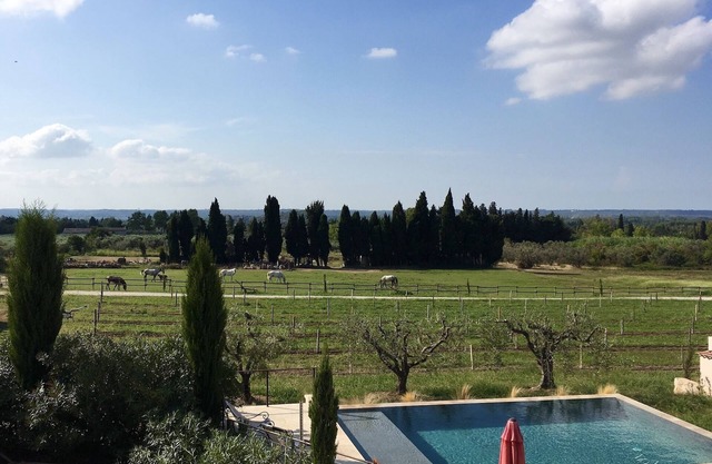 Gîte Mas de Cayol, Piscine au cœur des Alpilles classé **