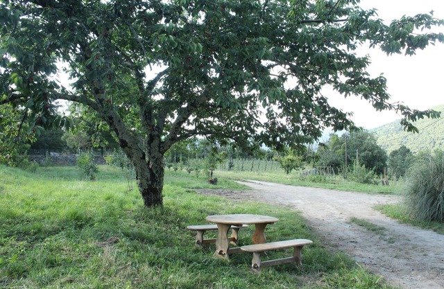 gite rural en cevennes