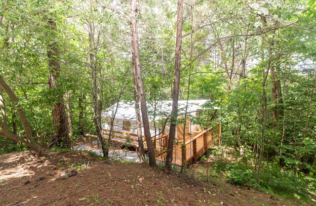 Glamping à Copperhill - "Le prospecteur"