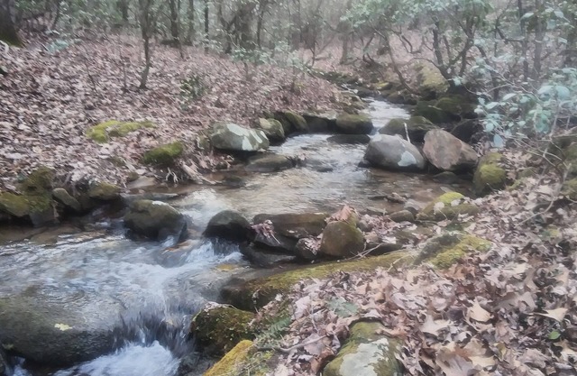 Glamping at it's finest in the Sautee Valley, Georgia. Near Helen. Discounted $$