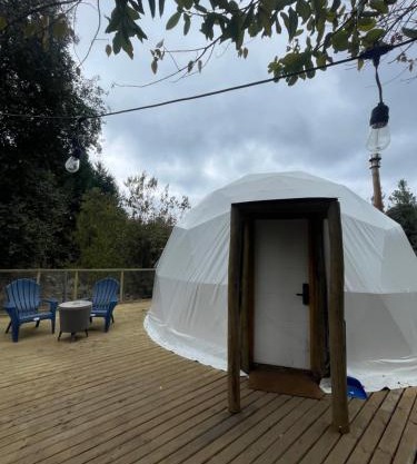 Glamping II Domo 7 Tazas con Tinaja