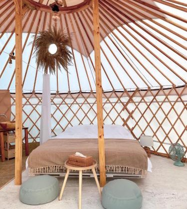 Glamping Iurte Mongole Spiritul Zimbrului