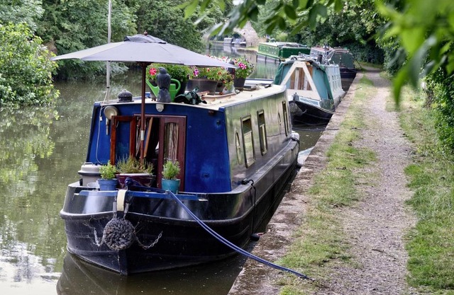 glamping, lodges and camping pitches